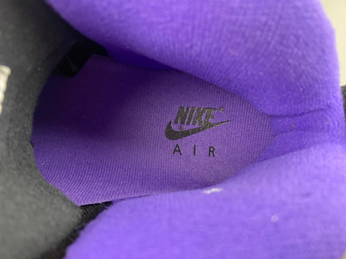 Air Jordan 10 OG Sacramento Kings 130209-051