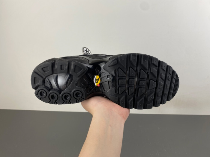 Nike Air Max Plus Triple Black 604133-050