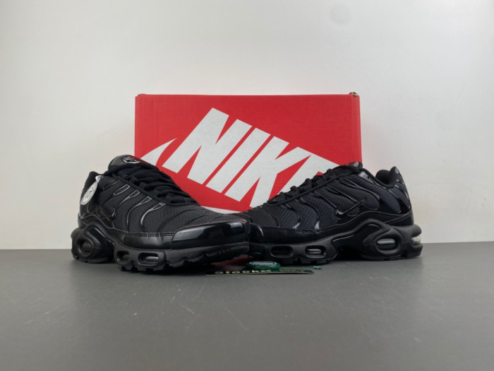Nike Air Max Plus Triple Black 604133-050