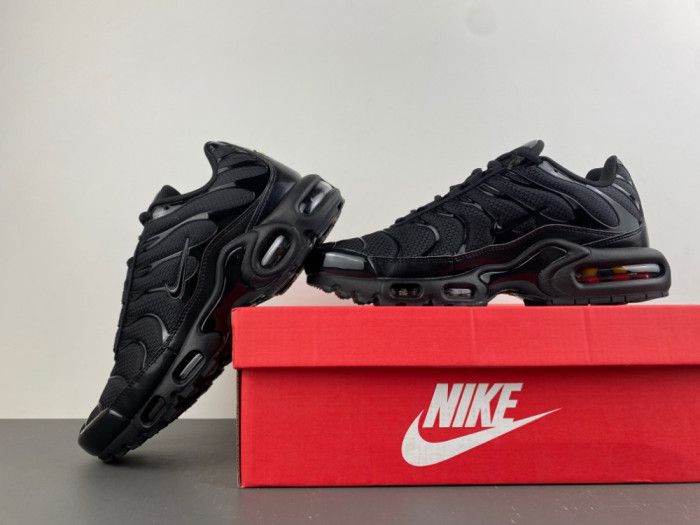 Nike Air Max Plus Triple Black 604133-050