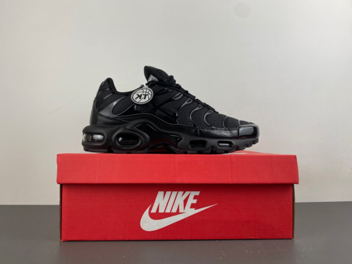 Nike Air Max Plus Triple Black 604133-050