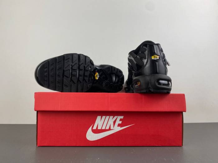 Nike Air Max Plus Triple Black 604133-050