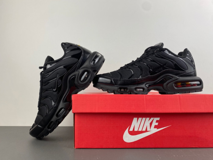 Nike Air Max Plus Triple Black 604133-050