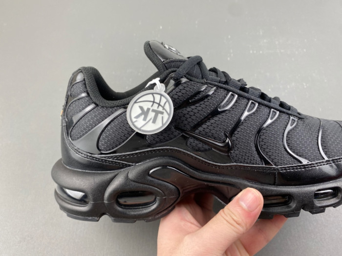 Nike Air Max Plus Triple Black 604133-050
