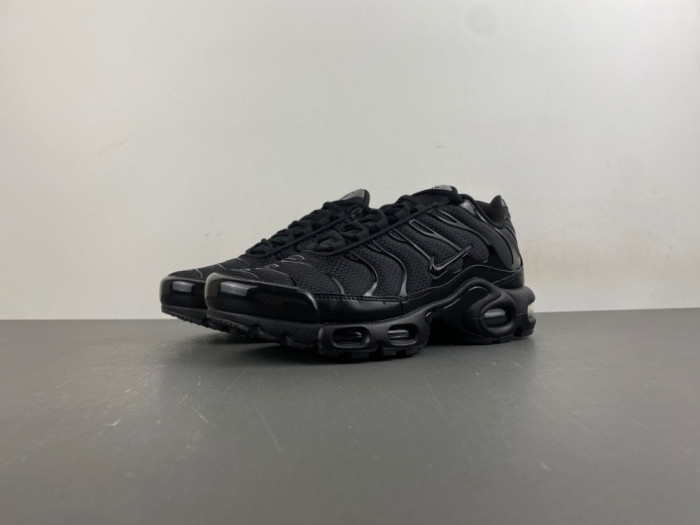 Nike Air Max Plus Triple Black 604133-050