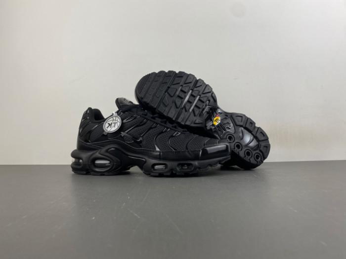 Nike Air Max Plus Triple Black 604133-050