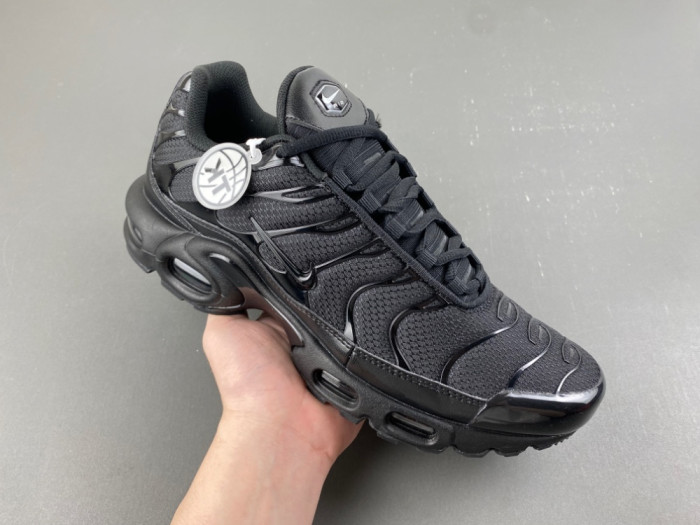 Nike Air Max Plus Triple Black 604133-050