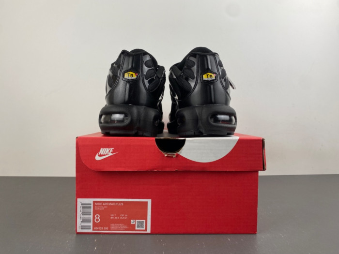 Nike Air Max Plus Triple Black 604133-050