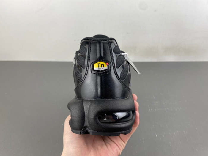 Nike Air Max Plus Triple Black 604133-050