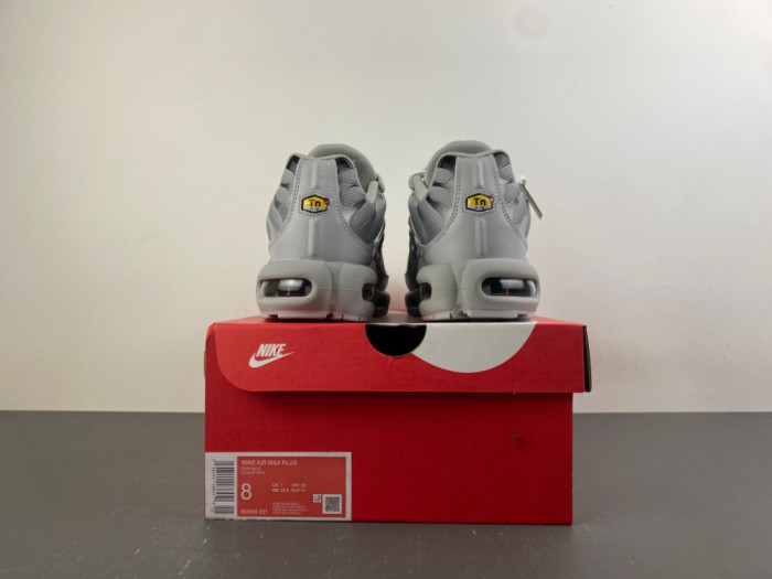 Nike Air Max Plus Wolf Grey 852630-021