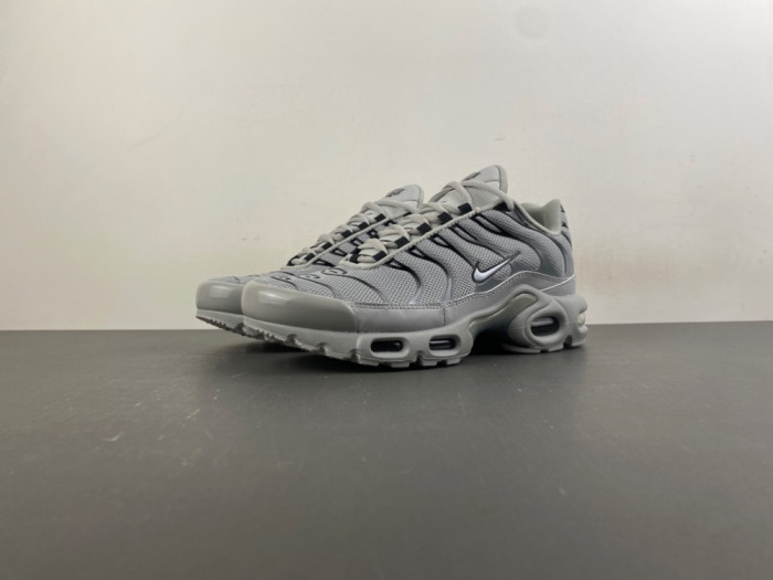 Nike Air Max Plus Wolf Grey 852630-021