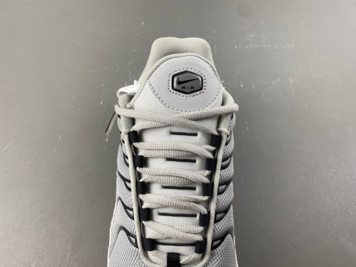 Nike Air Max Plus Wolf Grey 852630-021