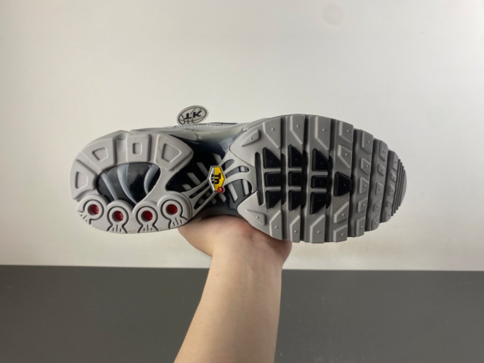 Nike Air Max Plus Wolf Grey 852630-021