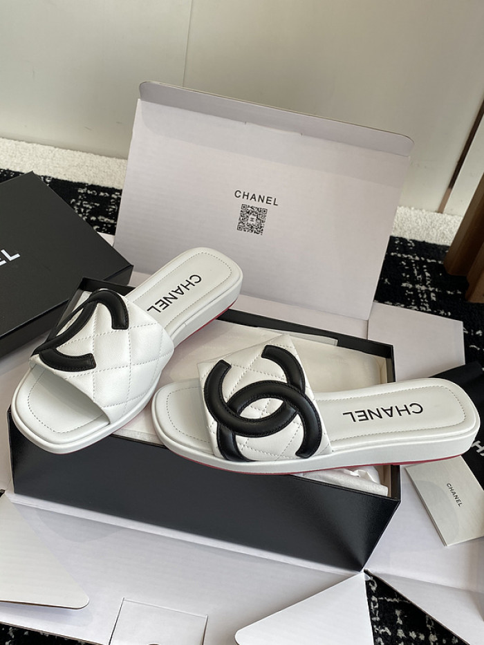 Chane1 Slides