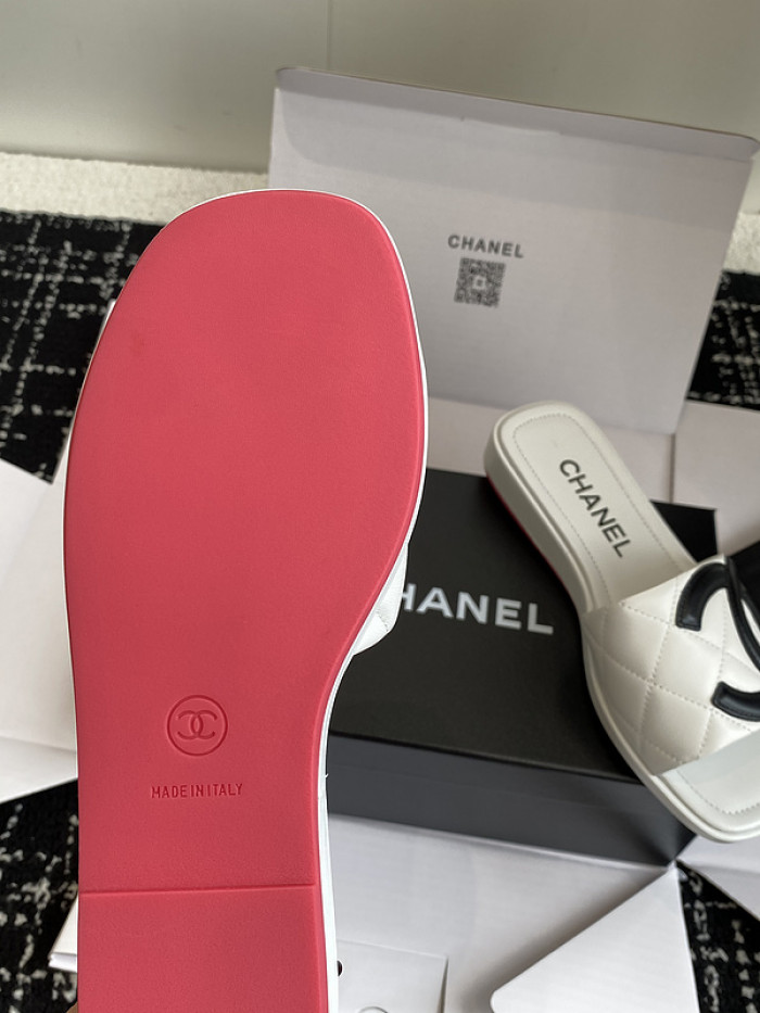 Chane1 Slides