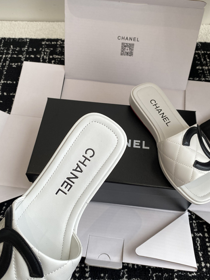 Chane1 Slides