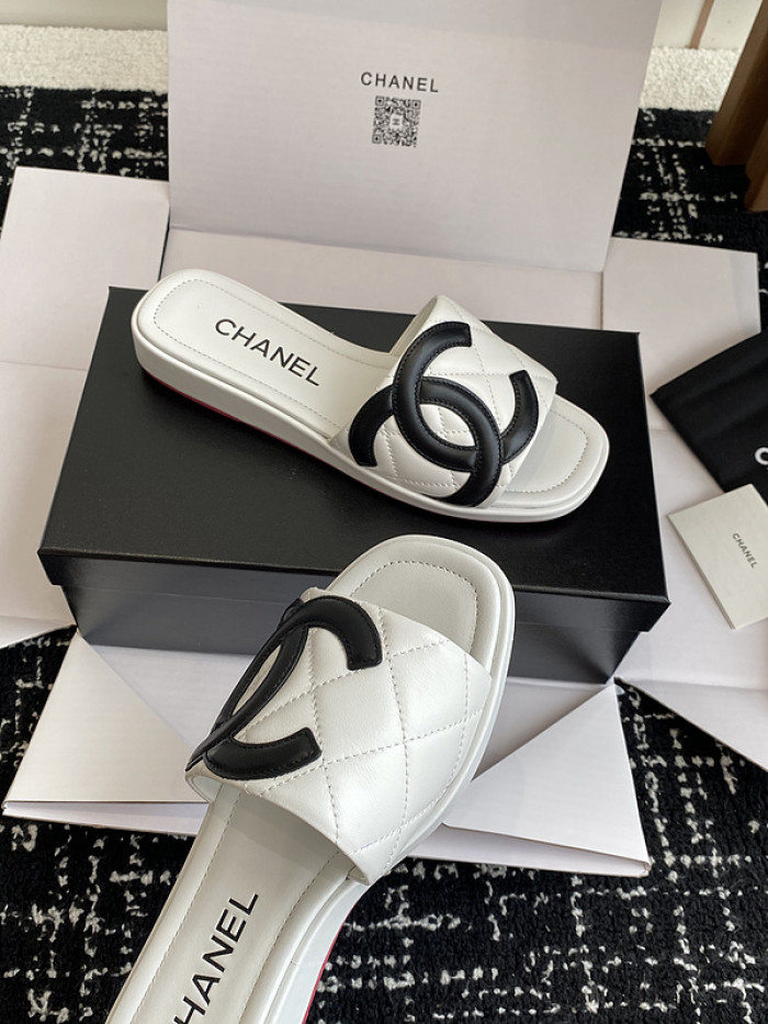 Chane1 Slides