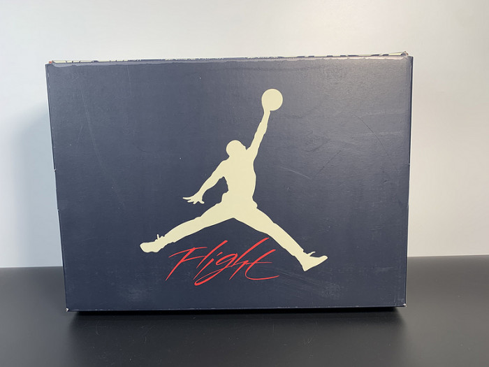 Air Jordan Jordan 4 Retro SE 