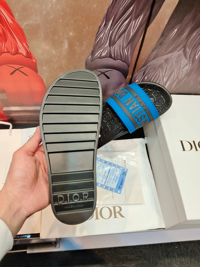 D1OR Slides