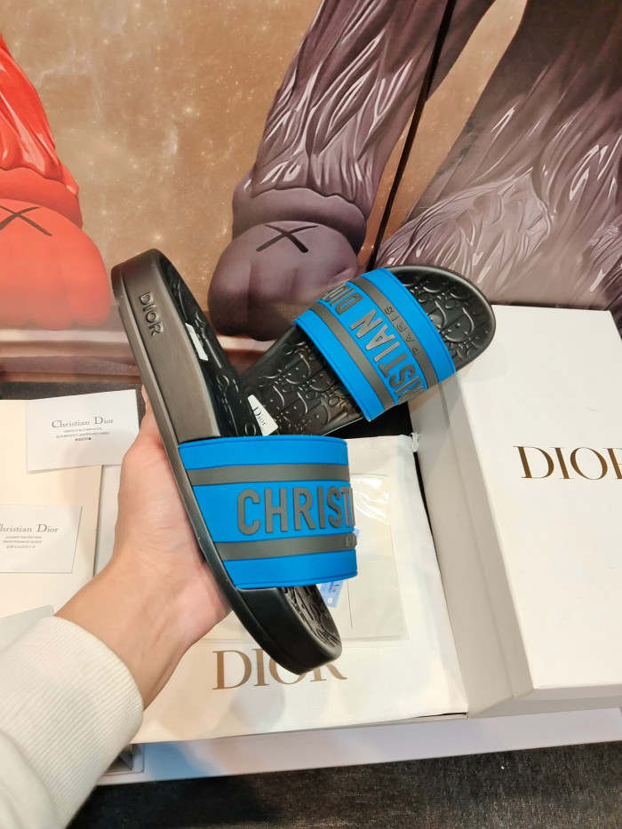 D1OR Slides