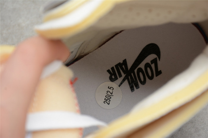 air jordan 1 high zoom cmft to my first coach dj6910-100