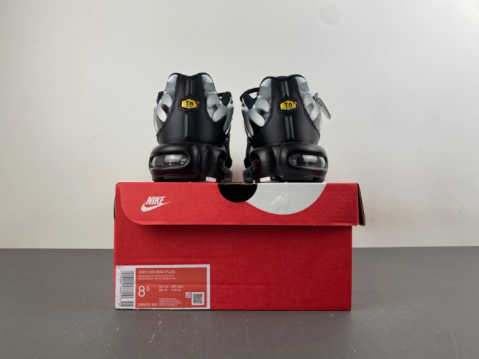 Nike Air Max Plus Black Silver White DM0032-003
