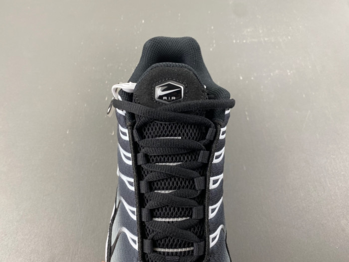 Nike Air Max Plus Black Silver White DM0032-003