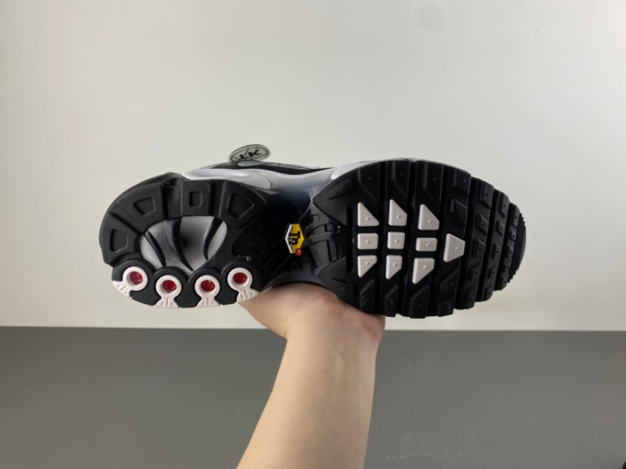 Nike Air Max Plus Black Silver White DM0032-003