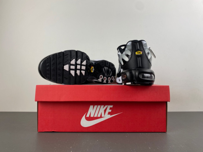 Nike Air Max Plus Black Silver White DM0032-003