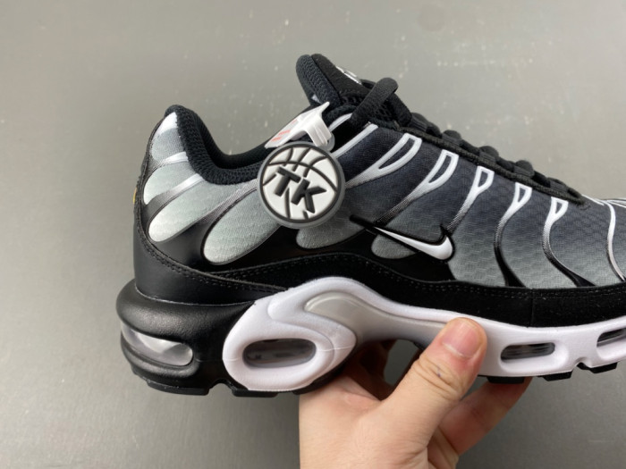 Nike Air Max Plus Black Silver White DM0032-003