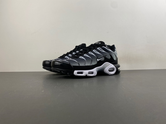 Nike Air Max Plus Black Silver White DM0032-003