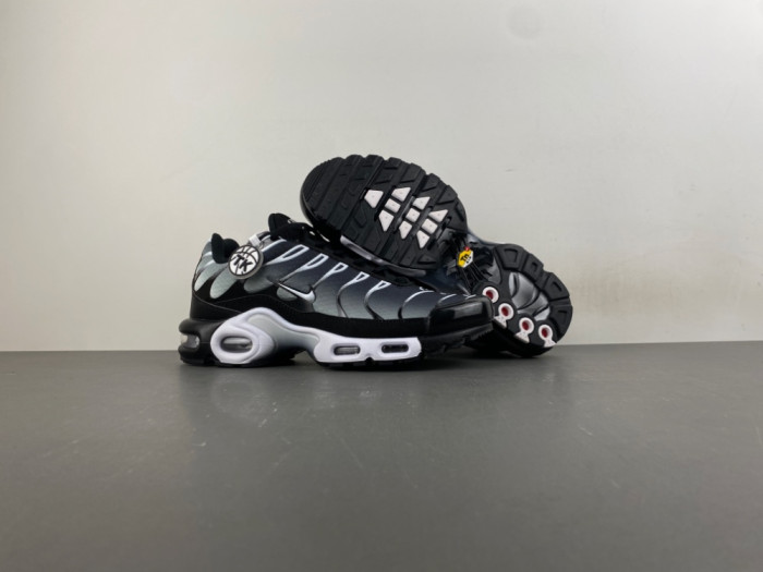 Nike Air Max Plus Black Silver White DM0032-003