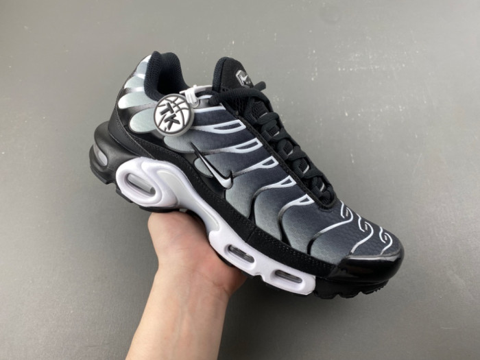 Nike Air Max Plus Black Silver White DM0032-003