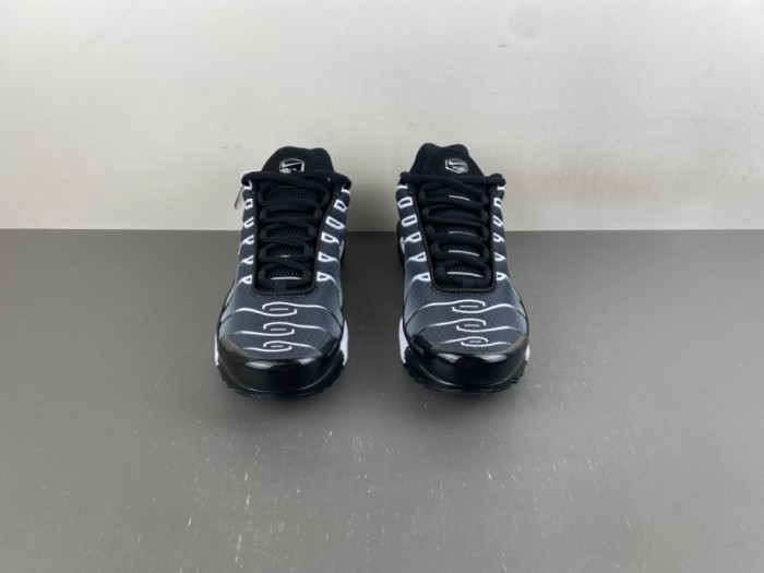 Nike Air Max Plus Black Silver White DM0032-003
