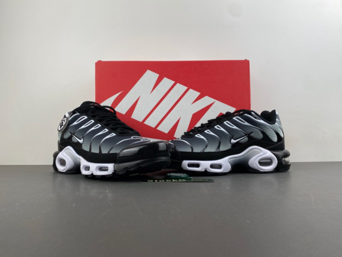 Nike Air Max Plus Black Silver White DM0032-003