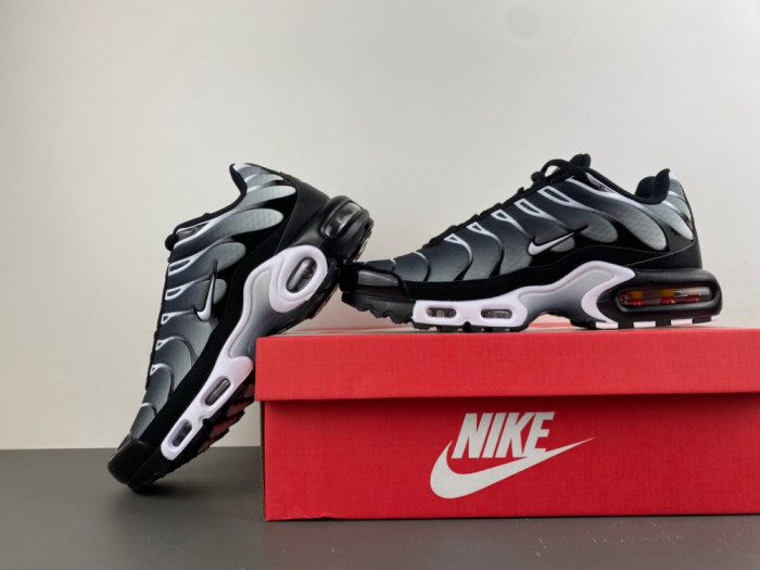 Nike Air Max Plus Black Silver White DM0032-003
