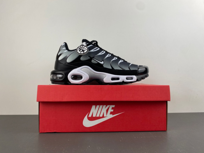 Nike Air Max Plus Black Silver White DM0032-003