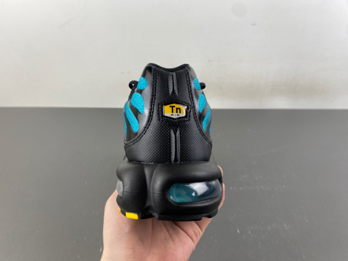 Nike Air Max Plus Black Dusty Cactus DM0032-016