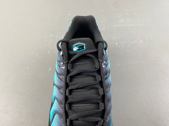 Nike Air Max Plus Black Dusty Cactus DM0032-016