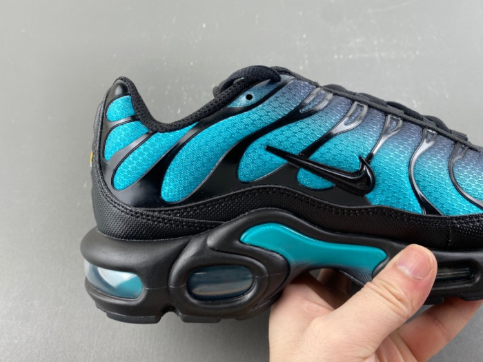 Nike Air Max Plus Black Dusty Cactus DM0032-016