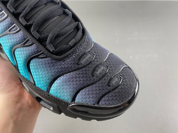 Nike Air Max Plus Black Dusty Cactus DM0032-016