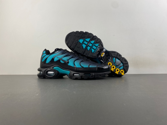 Nike Air Max Plus Black Dusty Cactus DM0032-016
