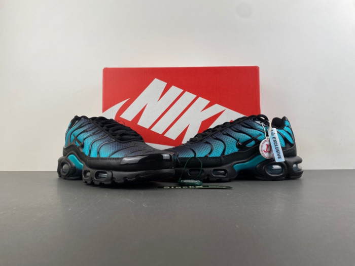 Nike Air Max Plus Black Dusty Cactus DM0032-016