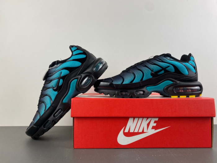 Nike Air Max Plus Black Dusty Cactus DM0032-016