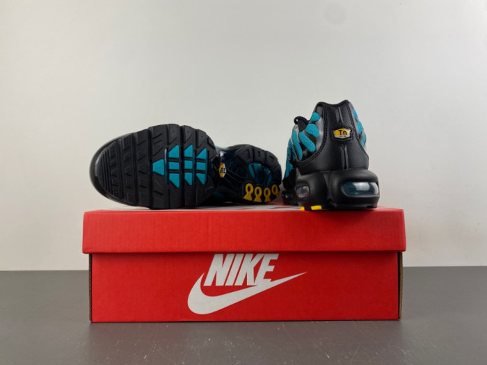 Nike Air Max Plus Black Dusty Cactus DM0032-016