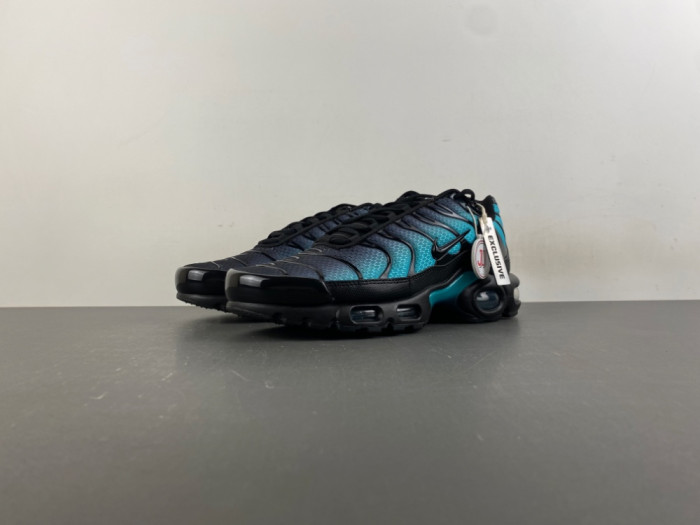 Nike Air Max Plus Black Dusty Cactus DM0032-016