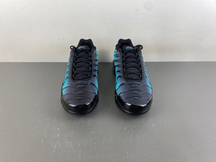Nike Air Max Plus Black Dusty Cactus DM0032-016
