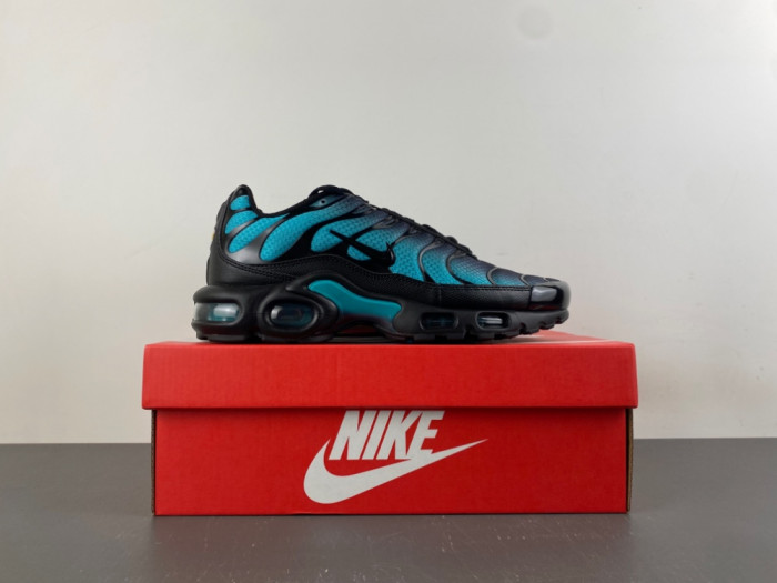Nike Air Max Plus Black Dusty Cactus DM0032-016