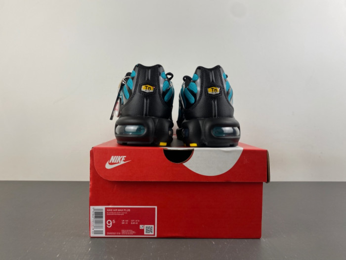 Nike Air Max Plus Black Dusty Cactus DM0032-016
