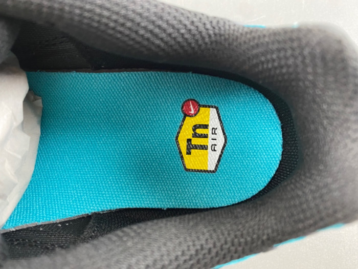 Nike Air Max Plus Black Dusty Cactus DM0032-016